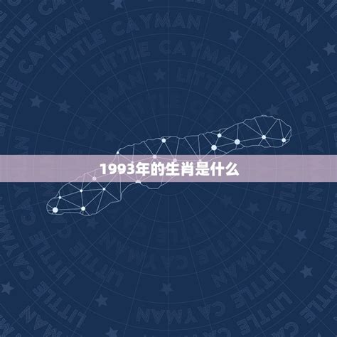 1993是什么年|1993年是什么年